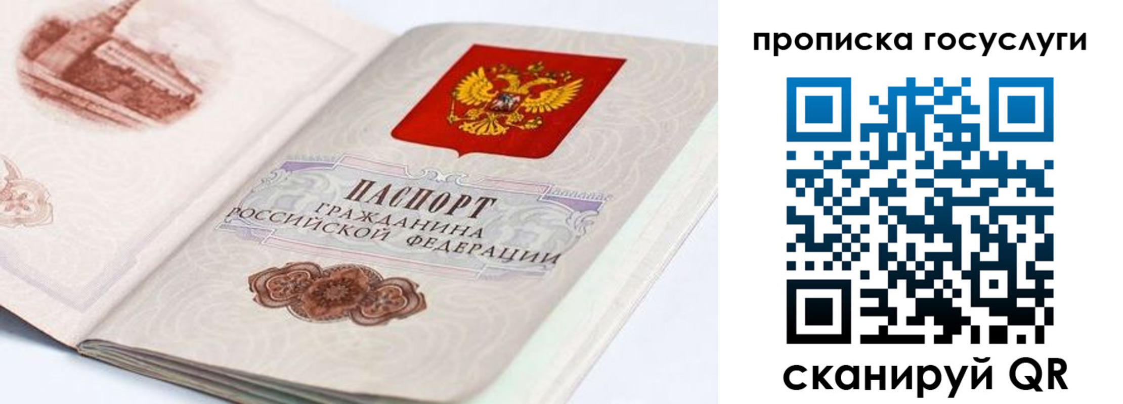 прописка гарантия в Шарье
